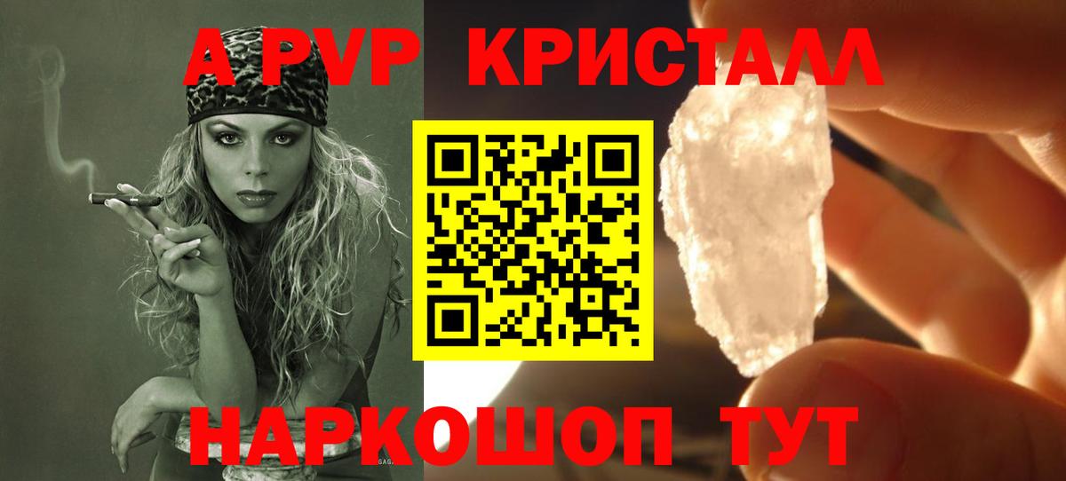 A PVP СК КРИС Славгород